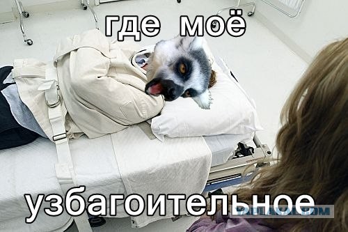 Узбагойся