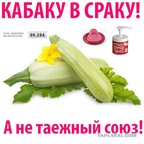 Янукович не подписал ассоциацию с ЕС