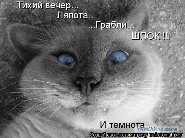 Визуализируем свои ники!