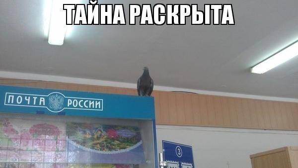 Позитивные картинки