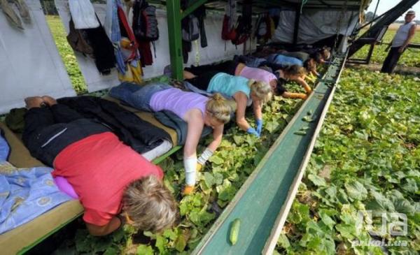 Псаки на отдыхе