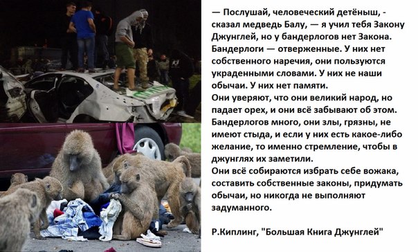 Война не повод для смеха, но....