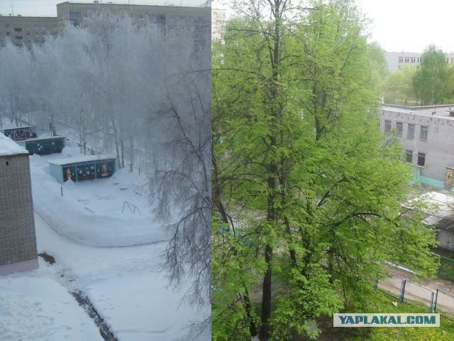 Времена года в фотографиях