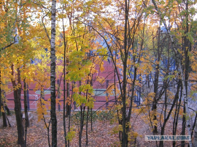 А что у Вас сейчас?