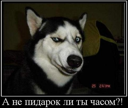 Правосек без маски