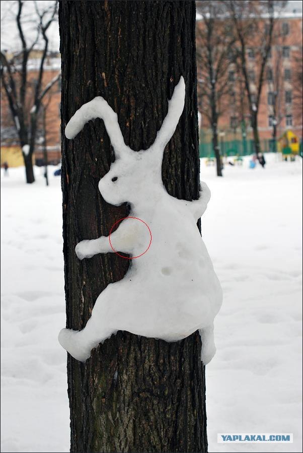 Сам белый, а хвост пупочкой?