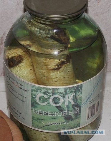 Я слива лиловая...