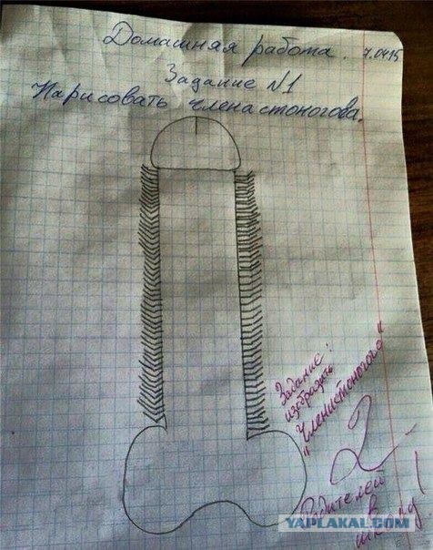 Картинки  разные