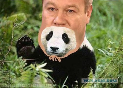 Ни что человеческое им не чуждо.