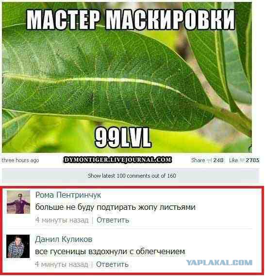 Ужасы и приколы из соцсетей 18+