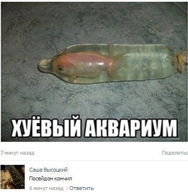 Забавные картинки из Сети