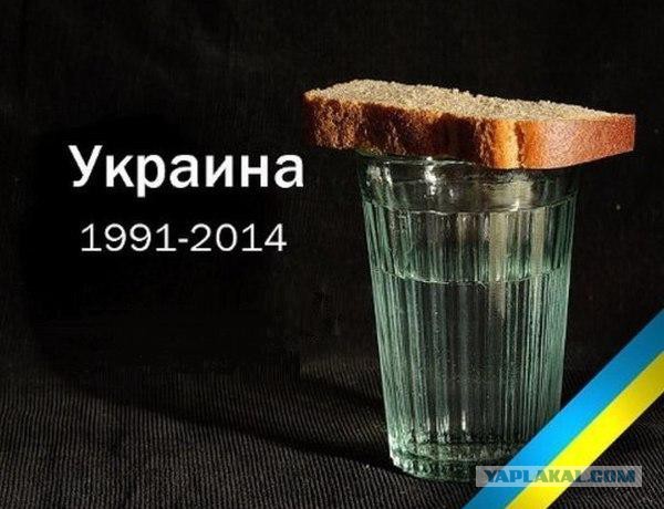 Перемирие кончилось, едва начавшись. Часть 13
