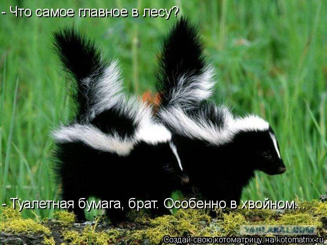 Опасно напиваться в кругу таких друзей