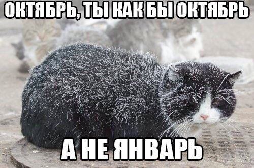 Веселые картинки