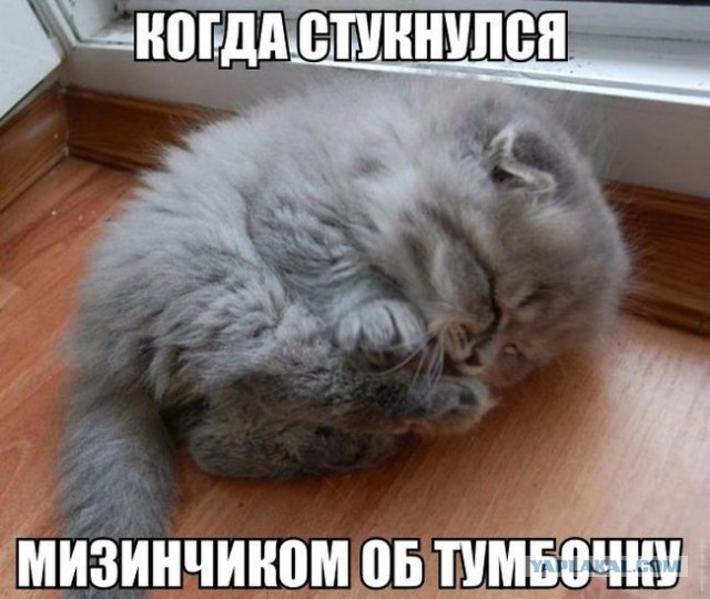 Смешные комментарии из соц. сетей 28.10.15