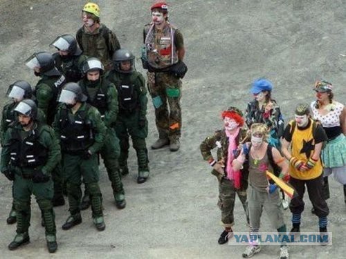 Гиф и картинок подборка!