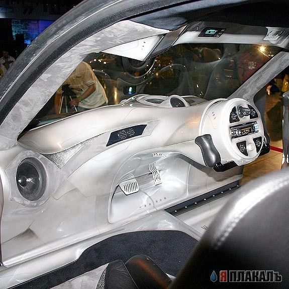 BMW X5 Alpines Pimpin