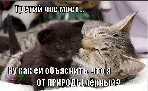 А давайте улыбнёмся