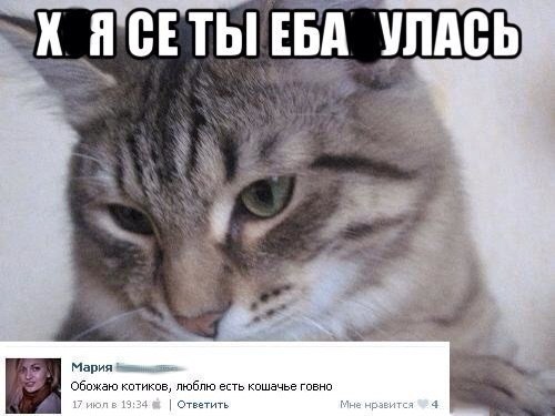 Картинки и демотиваторы