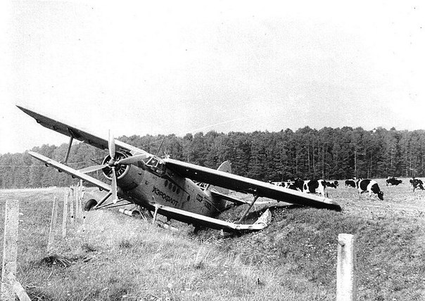 Авиакурьезы и просто необычные фото