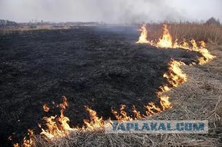 10 запахов далекого советского детства