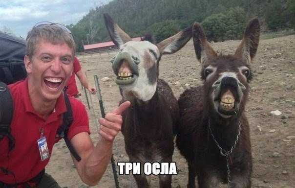 Фотографии из соцсетей