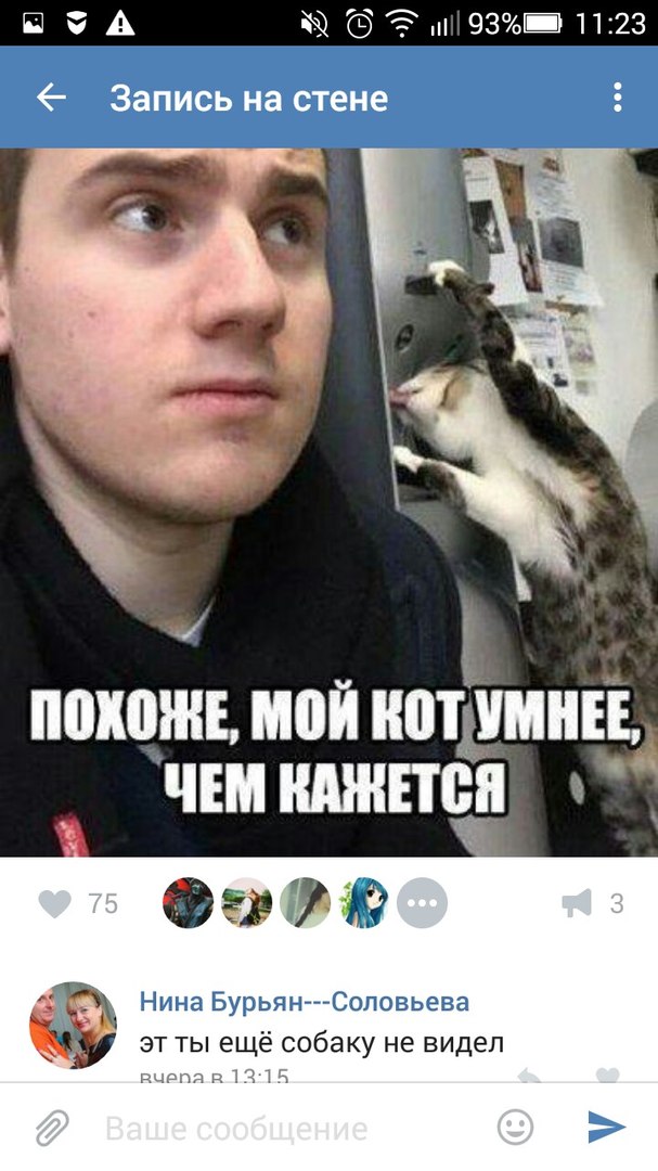 Ужасы и приколы из соцсетей 18+