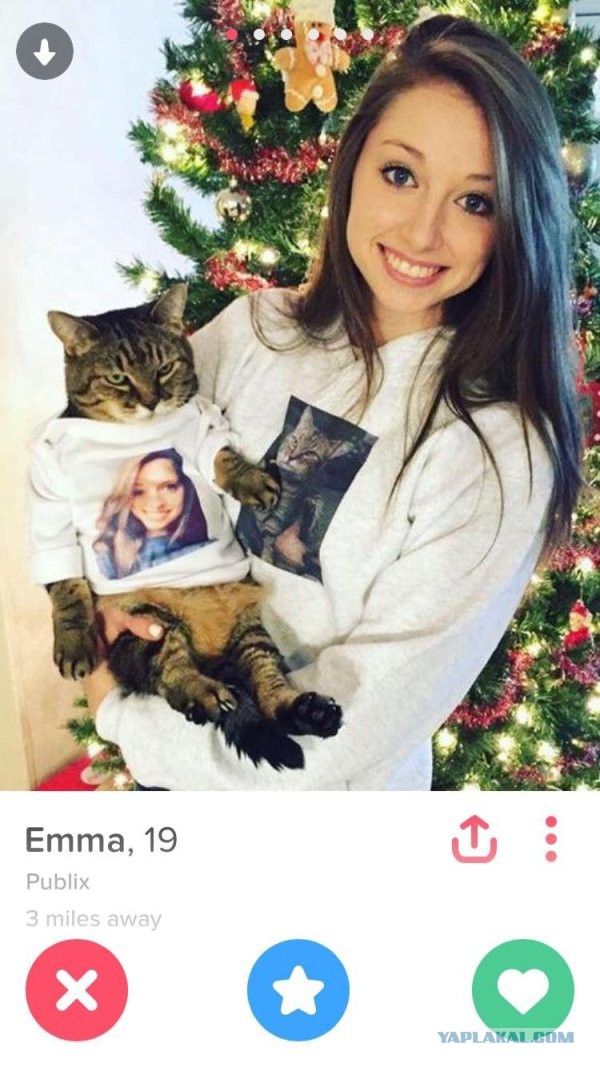 Девушки и кошки