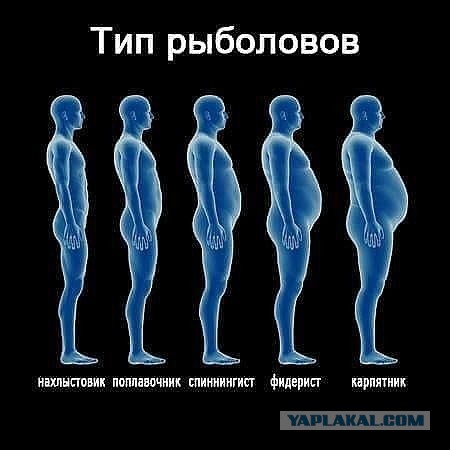 Как я съездил на Западную Украину и в Польшу-strong
