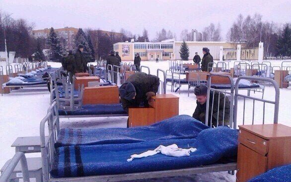 Подборка безудержного веселья