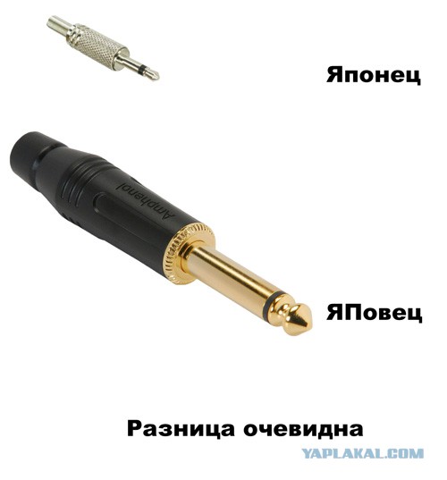 Ничего лишнего. Японец выпустил книгу, где только котики и женская грудь