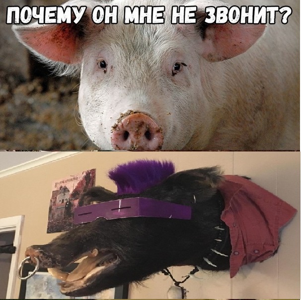 Время никого не щадит...