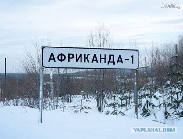Обалдеть, как же смогли такое придумать?
