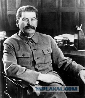 Взгляд сквозь пуховик