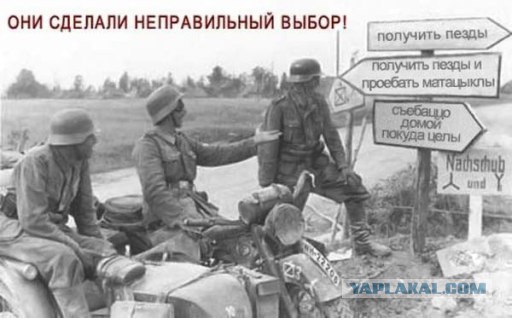 Выбрав Путина, русские выбрали войну...