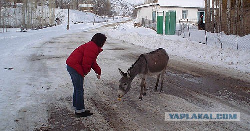 Узбекистан. Мои впечатления