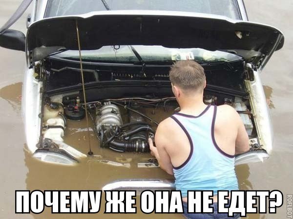Приколы в картинках или прикольные картинки?