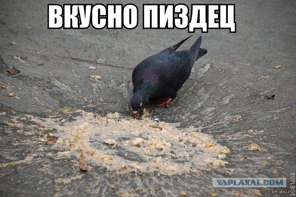Путин указал на недопустимость злоупотребления нефтяниками их положением