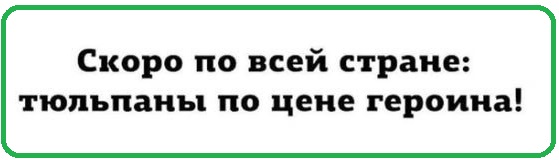 Картинки с надписями и анекдоты