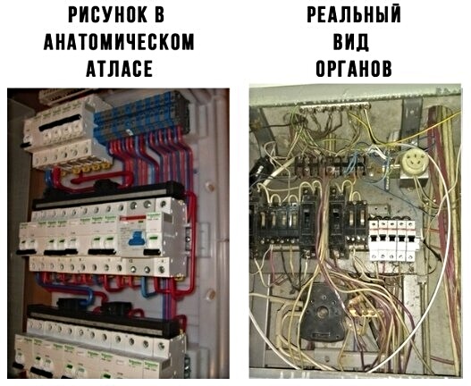 Картинки с надписями, истории и анекдоты