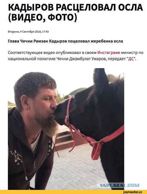 Глава Чечни Рамзан Кадыров пообещал «ломать пальцы и вырывать языки» за оскорбительные комментарии в соцсетях.