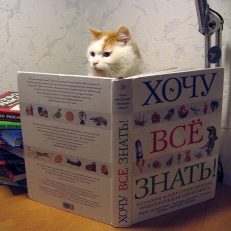 Живность из сети