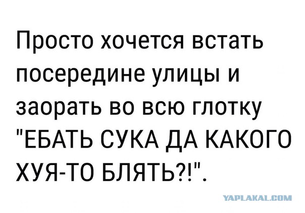 Греф выступил против раздачи денег всем россиянам
