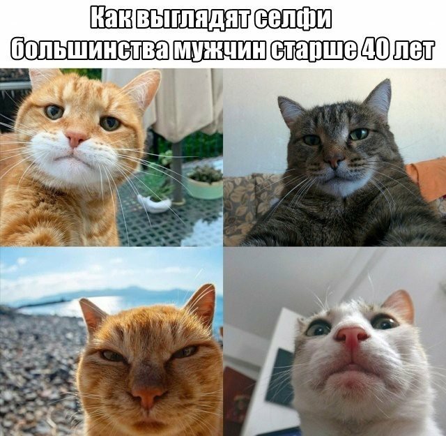 Обалденная рыбалка на налима!