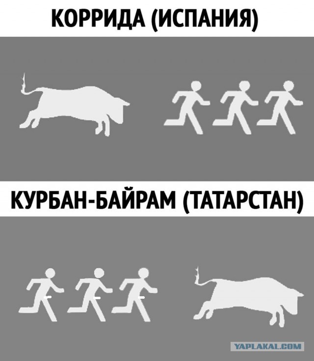Начинается неделька...