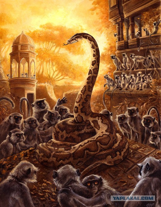 Как индийцы смотрят кино