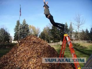 Вовчик и Денчик в поисках адреналина