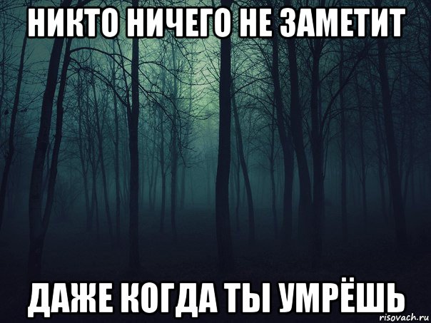 Укусила белка.