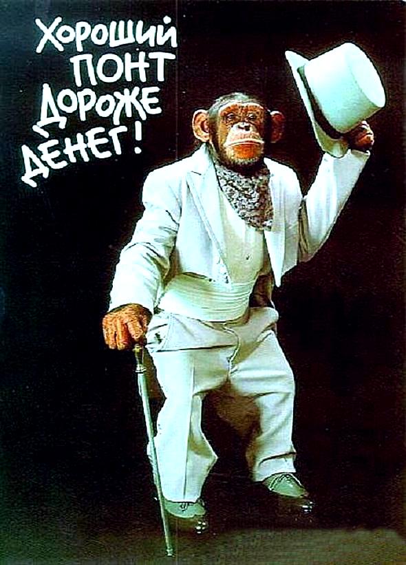 дорогие понты. понты дороже денег. хороший понт дороже денег. хороший понт дороже денег. когда понты дороже денег.