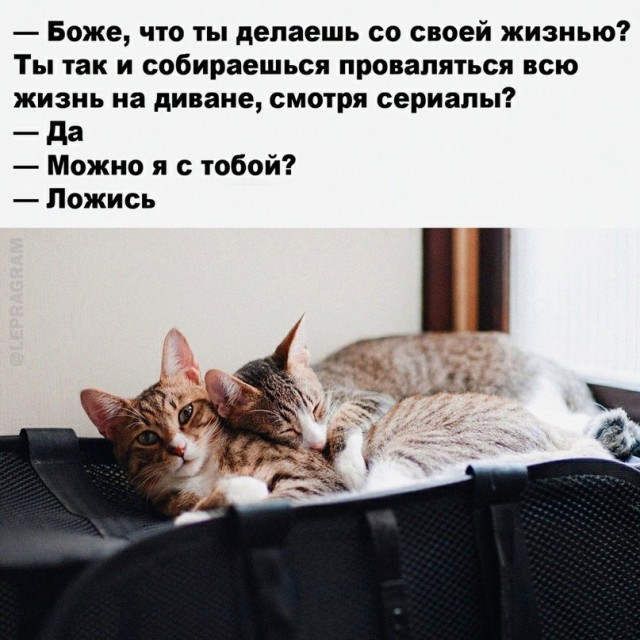 Немного картинок для настроения - 129